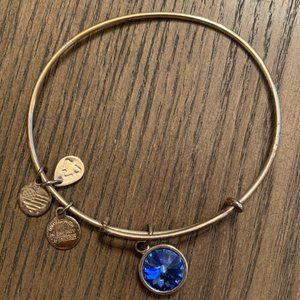 ALEX AND ANI BRACELET